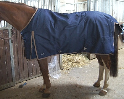 Regendecke Rainmax auf Warmblut