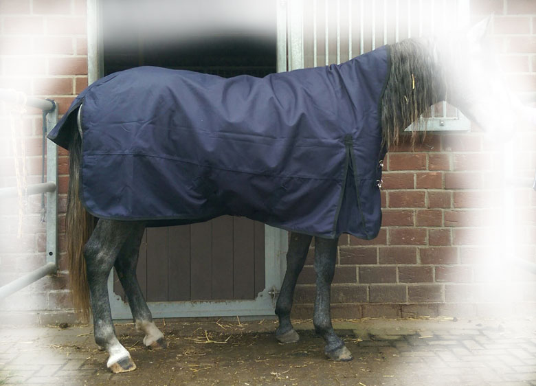 Regendecke Raincape auf Quarter Horse Regendecke Raincape 135 cm auf sehr schmalem Pferd