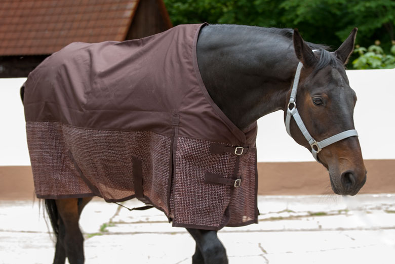 Sommerregendecke Sommerregendecke für Pferde und Ponys