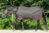 Regendecke Free moving lite 1680 D