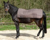 fedimax Ceramic Energy Back Pad De Luxe Rückenwärmer Pferd anatomisch