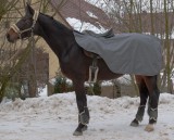 Nierendecke Regen Ausreitdecke Fleecefutter grau
