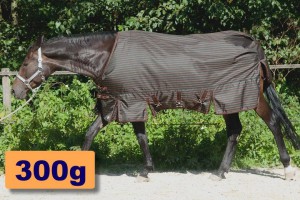 Winterdecke  free moving - 300  1680 D