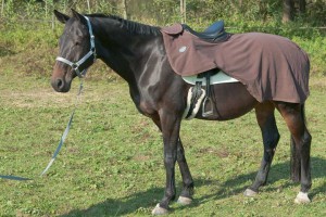 Nierendecke Ausreitdecke fedimax Ceramic Energy � Fleece