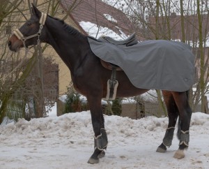 Nierendecke Regen Ausreitdecke Fleecefutter grau