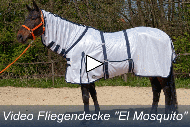 Fliegendecke El Mosquito