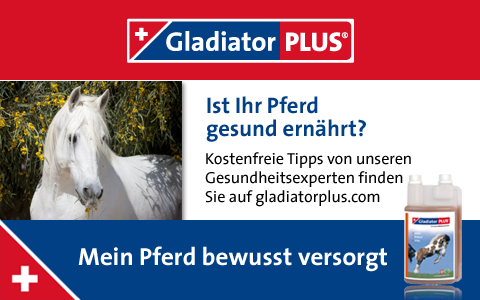 Ist Ihr Pferde gesund ernährt? GladiatorPLUS - Ernährungstipps für Ihr Pferd