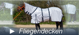 Fliegendecken kaufen