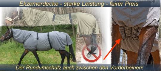 Ekzemerdecke 