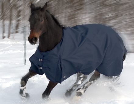 Regendecke für Warmblut