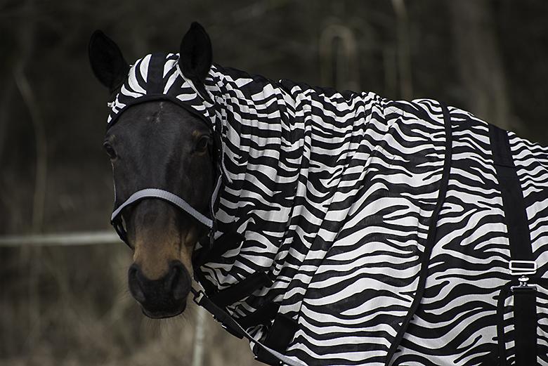 Fliegendecke Zebra