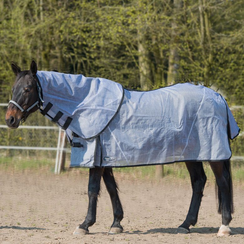 Ekzemerdecke fuer Shire Horse