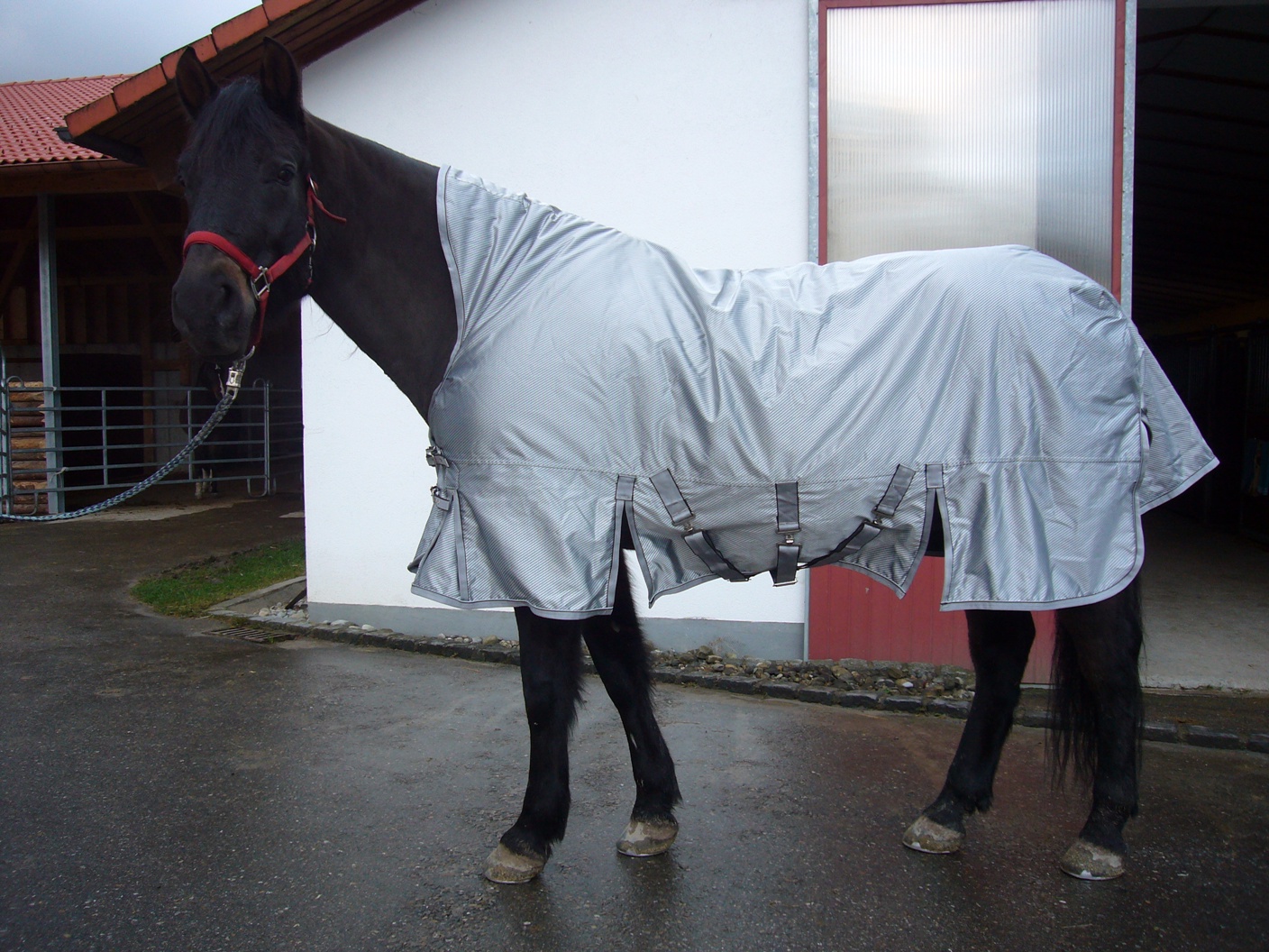 High-Neck Free moving Pferdedecke auf einem Andalusier