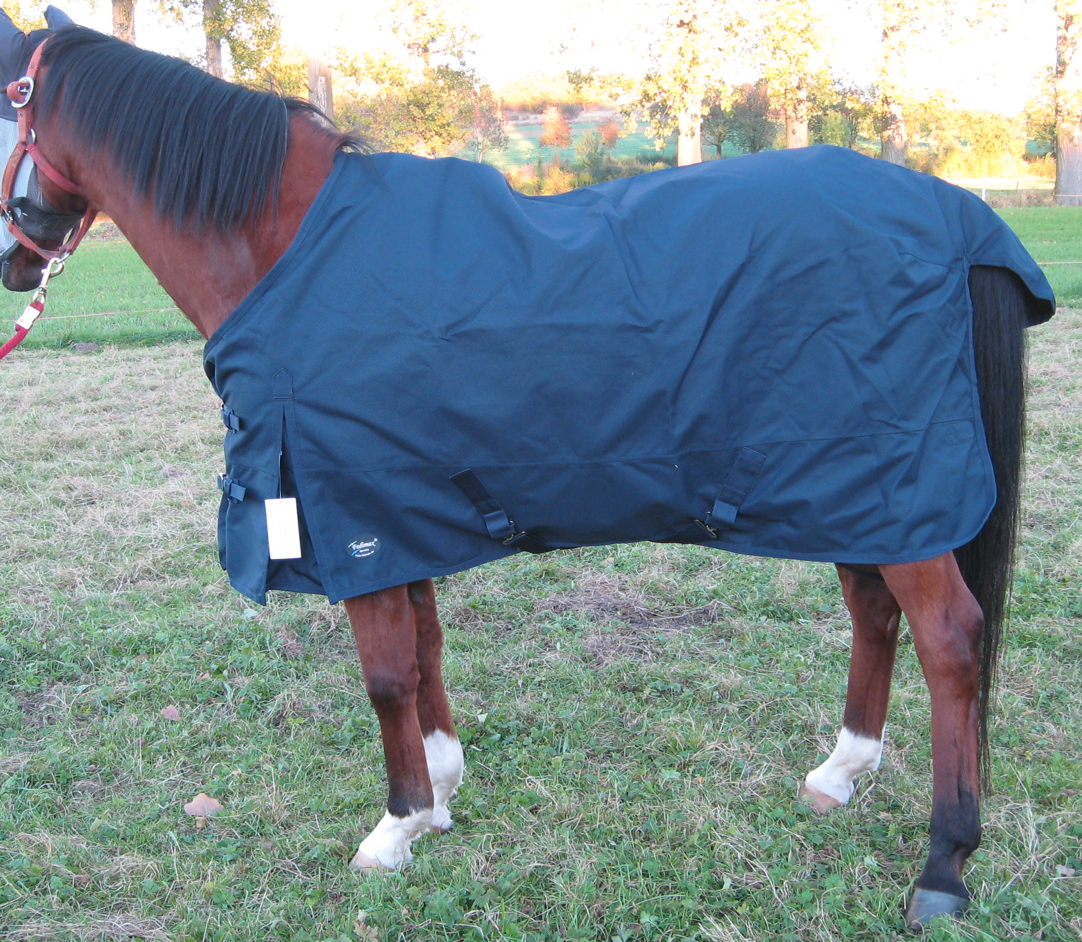 Regendecke für Trakehner