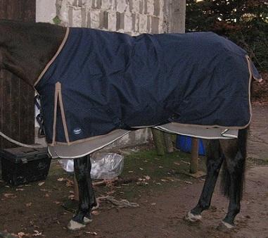 Regendecke 135 cm auf einem Deutschen Sportpferd