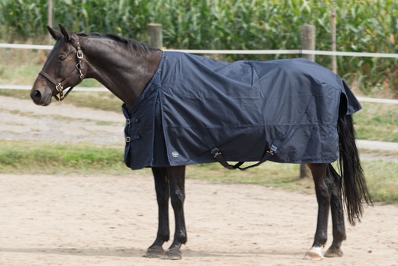 Regendecke Cavallo Testsieger