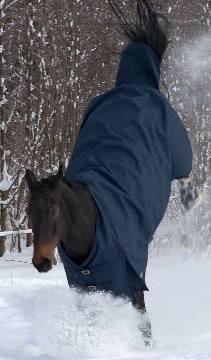 Winterdecken für Pferde und Ponys