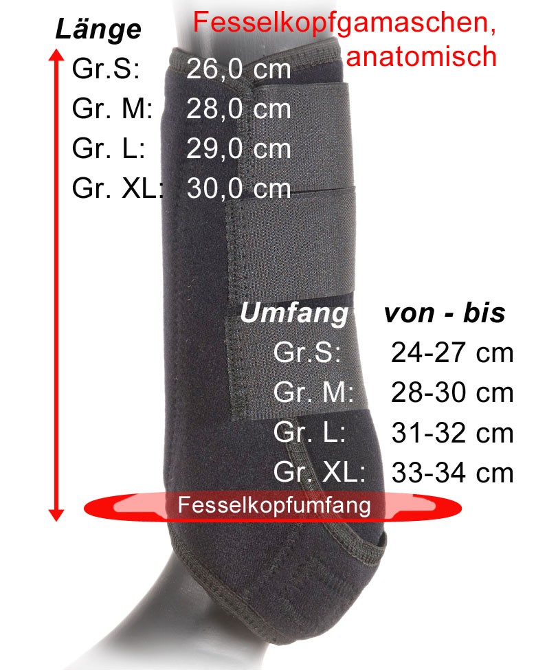 Fesselkopfgamaschen anatomisch Fesselkopfgamaschen anatomisch